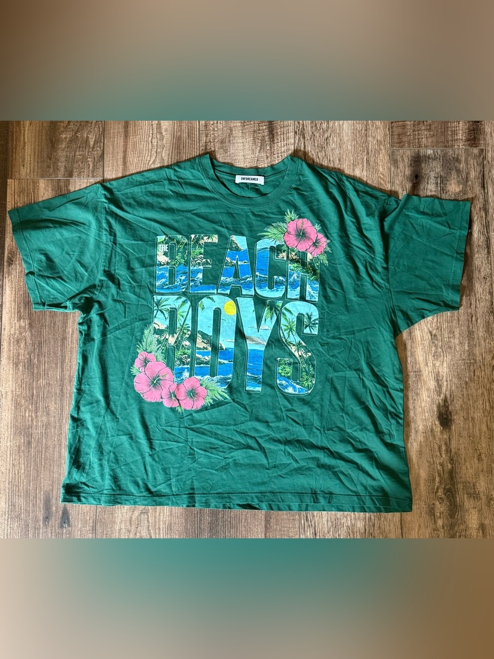 Daydreamer Beach Boys